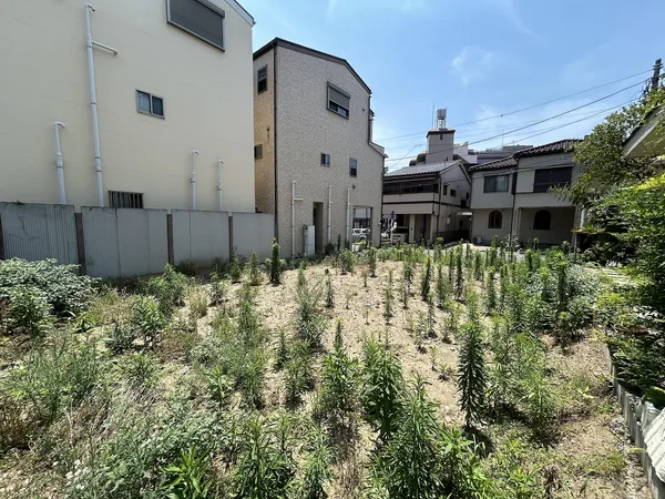 現地外観