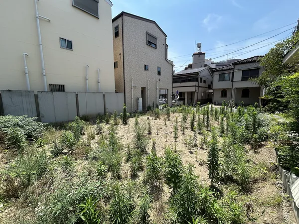 現地外観