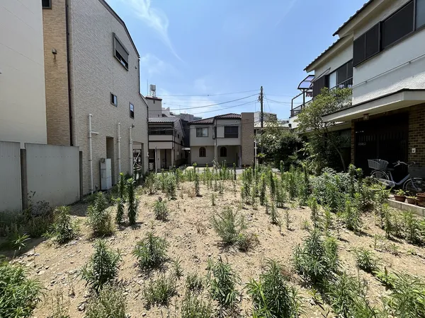 現地外観