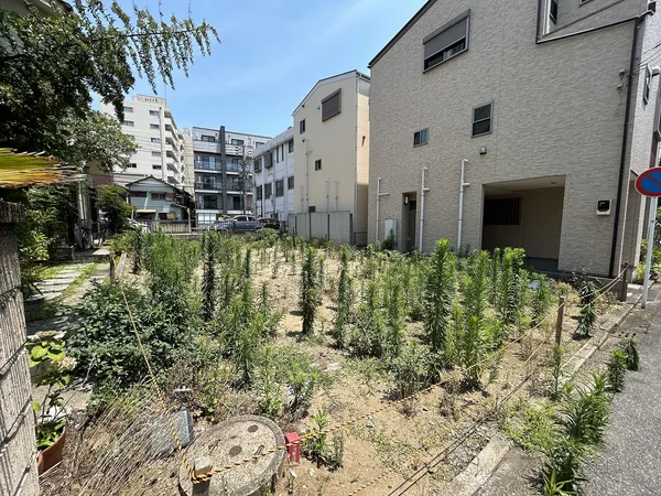 現地外観