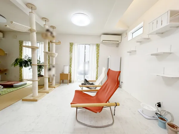 訪れる人を温かく迎えてくれる広々としたリビング