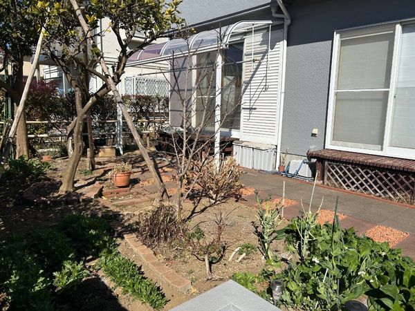 泉台4丁目戸建 庭 泉台4丁目戸建 庭
