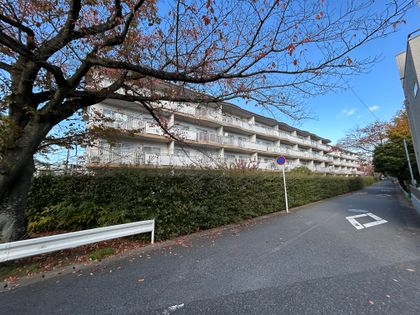 稲毛パークハウス F棟 眺望