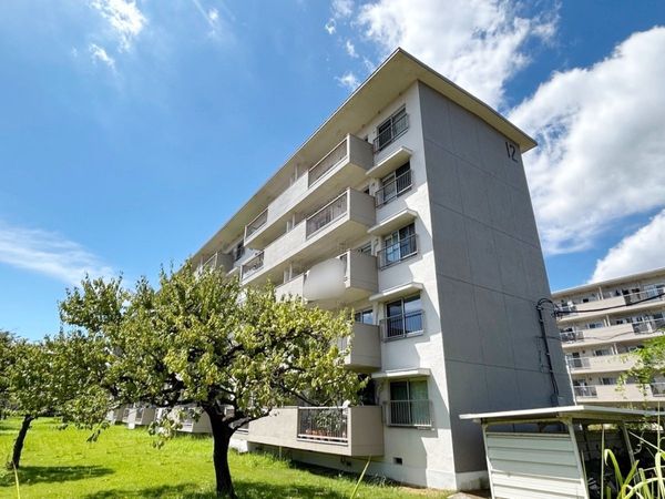 稲毛海岸3丁目団地 12号棟 外観 稲毛海岸3丁目団地 12号棟 外観