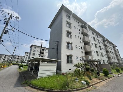 稲毛海岸3丁目団地 16号棟 外観