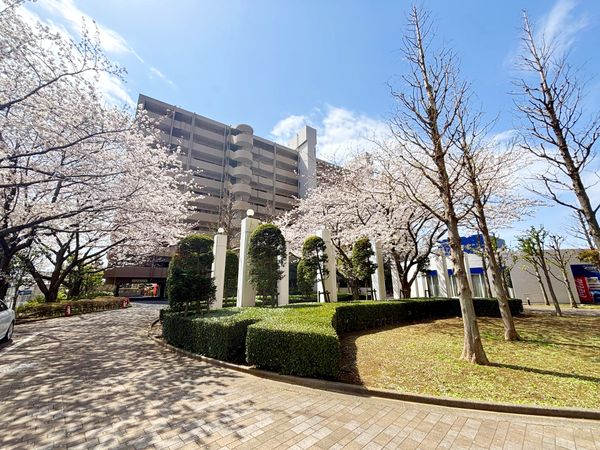 フェアロージュ津田沼 ポルタ館 庭 フェアロージュ津田沼 ポルタ館 庭