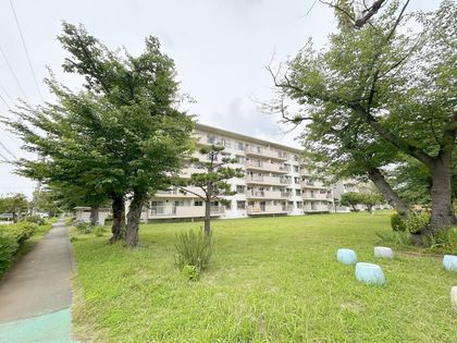 稲毛海岸3丁目団地 11号棟 外観 外観