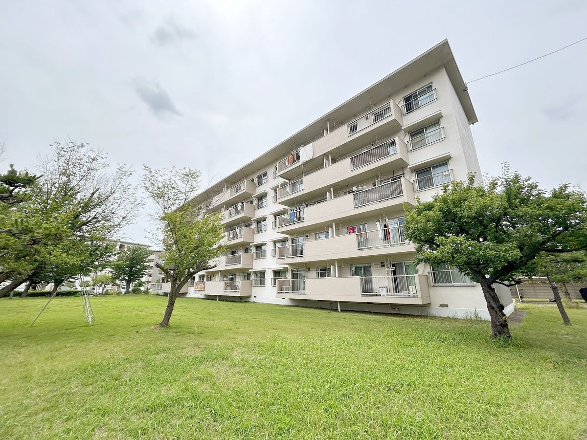 稲毛海岸3丁目団地 11号棟 外観 外観