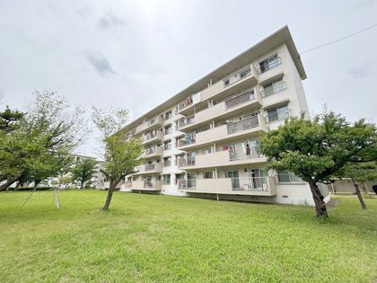稲毛海岸3丁目団地 11号棟 外観 外観