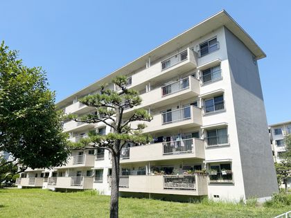 稲毛海岸三丁目団地 外観