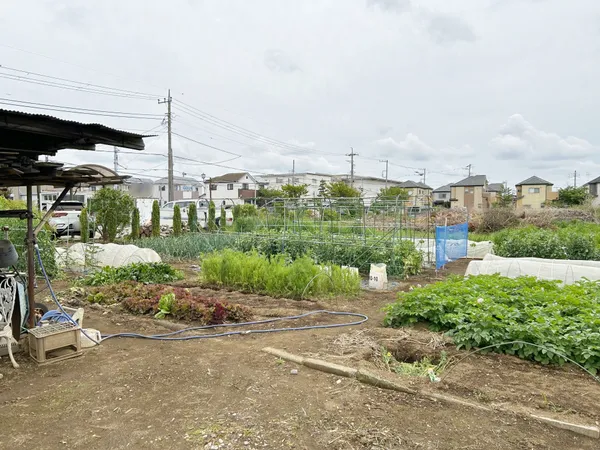 土地写真
