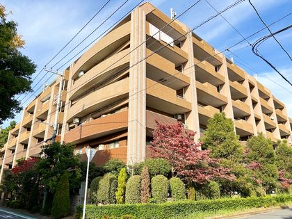 レクセルマンション習志野 外観