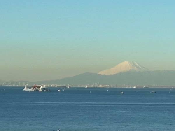 THE幕張BAYFRONT TOWER&RESIDENCE 眺望 眺望