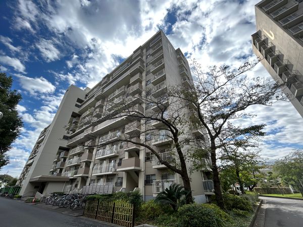 市川グリーンハイツ D号棟 外観 市川グリーンハイツ D号棟 外観