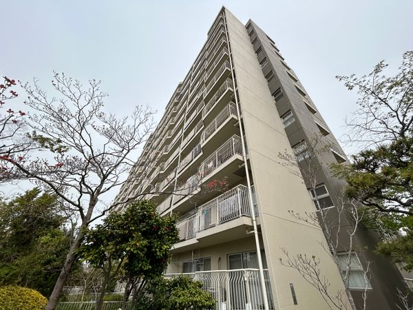 市川グリーンハイツ C号棟 外観 市川グリーンハイツ C号棟 外観