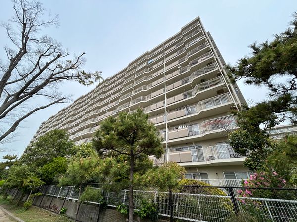 市川グリーンハイツ C号棟 外観 市川グリーンハイツ C号棟 外観
