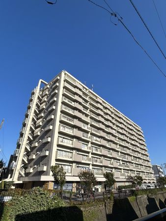 マンション池上 間取図(平面図) マンション池上 間取図(平面図)