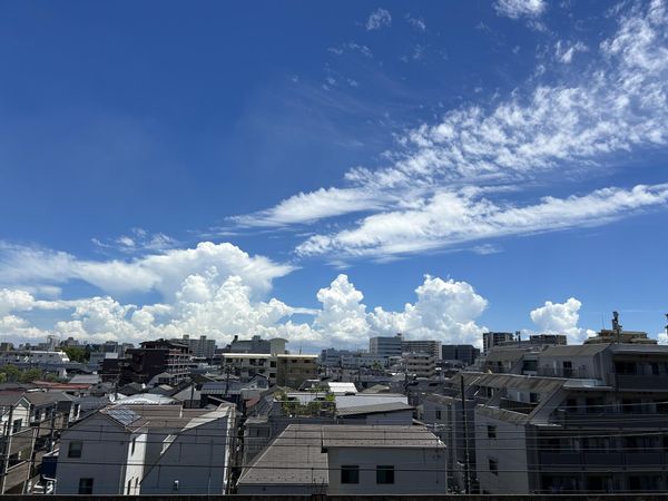 クレストフォルム東京リバーコースト 眺望