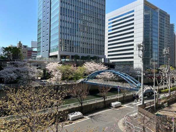 パークシティ大崎 ザレジデンス 眺望