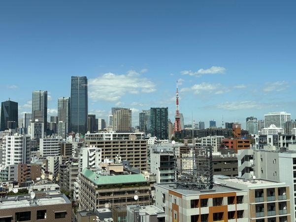 白金ザ・スカイ 西棟 眺望 白金ザ・スカイ 西棟 眺望