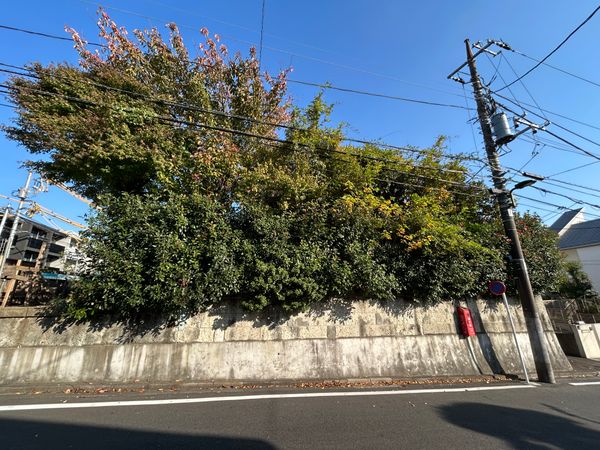 目黒区緑が丘2丁目 土地 土地写真 土地写真