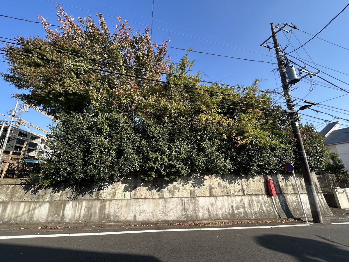 目黒区緑が丘2丁目 土地 土地写真 土地写真