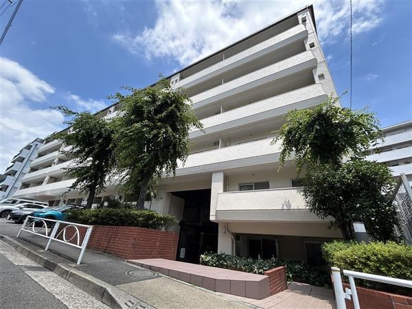 ゾンネンハイム大橋 外観
