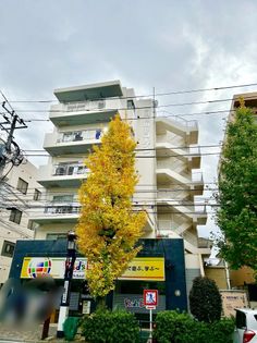 藤和世田谷コープⅢ 外観