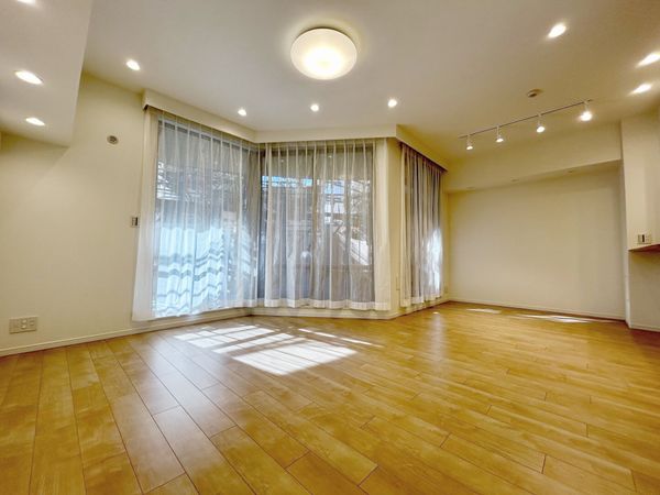 ルイシャトレ自由が丘 リビング リビング