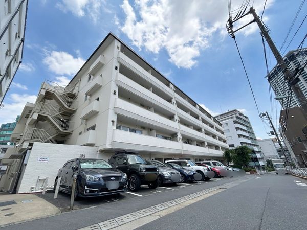 ゾンネンハイム大橋 外観 ゾンネンハイム大橋 外観