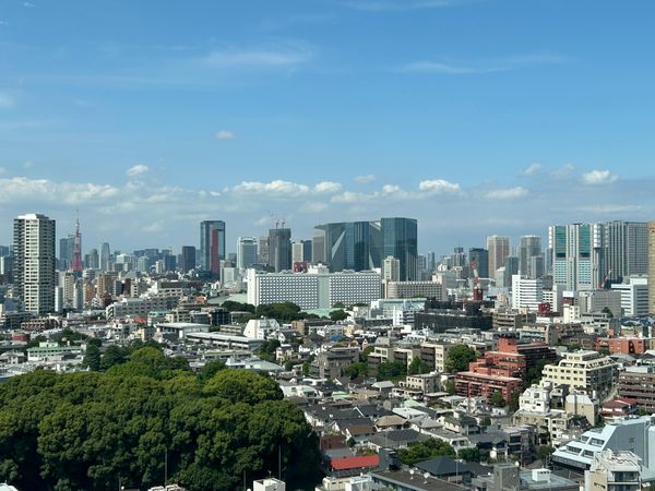 パークタワーグランスカイ 眺望 パークタワーグランスカイ 眺望