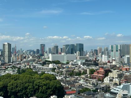 パークタワーグランスカイ 眺望