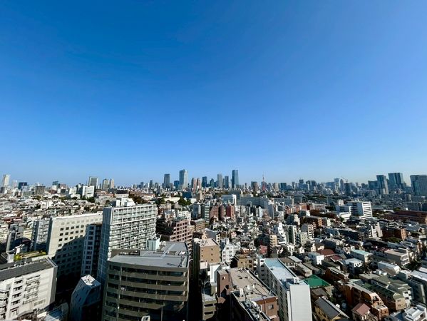 グランドヒルズ恵比寿 眺望 眺望