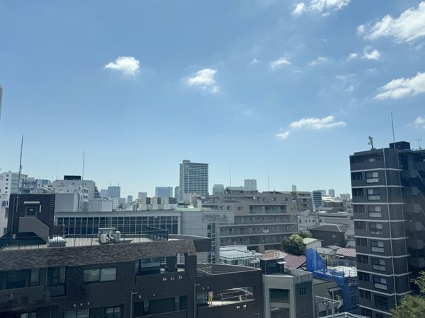 グランドメゾン恵比寿の杜 タワー 眺望
