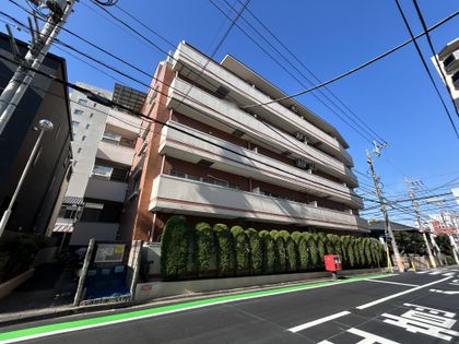 レイニオン岸町 眺望