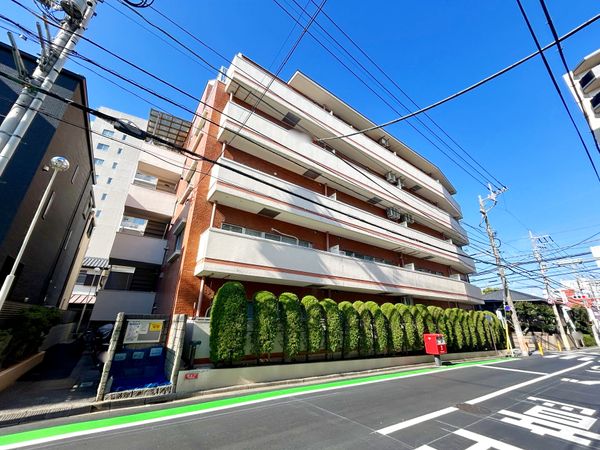 レイニオン岸町 眺望