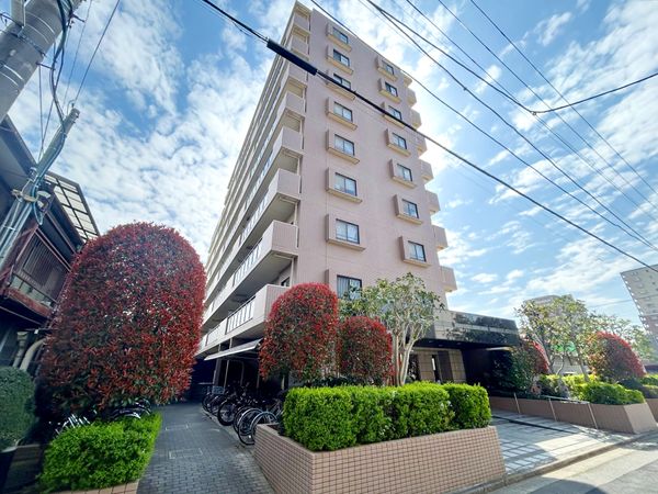 マイキャッスル川口中青木公園 外観 マイキャッスル川口中青木公園 外観