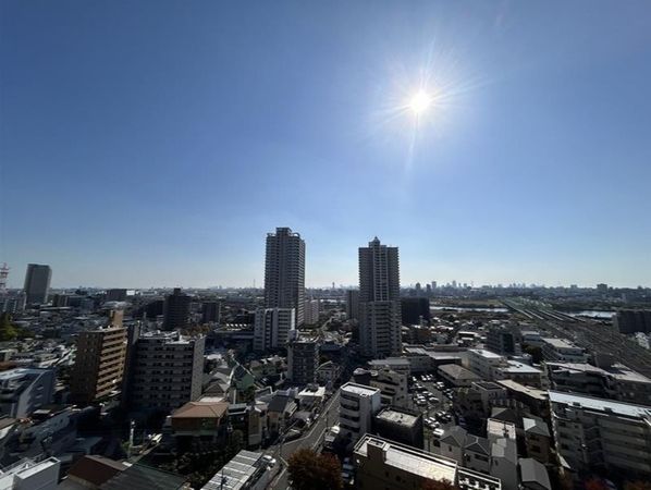 リビオタワー川口ミドリノ 眺望