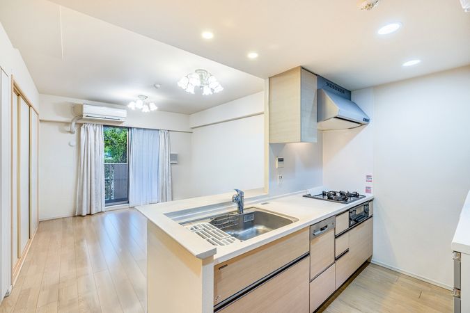 ラヴィアンコート川口南鳩ケ谷 リビング