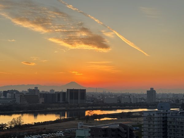 スカイフロントタワー川口 眺望 眺望