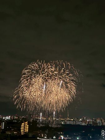 ローレルコート川口 眺望 ローレルコート川口 眺望