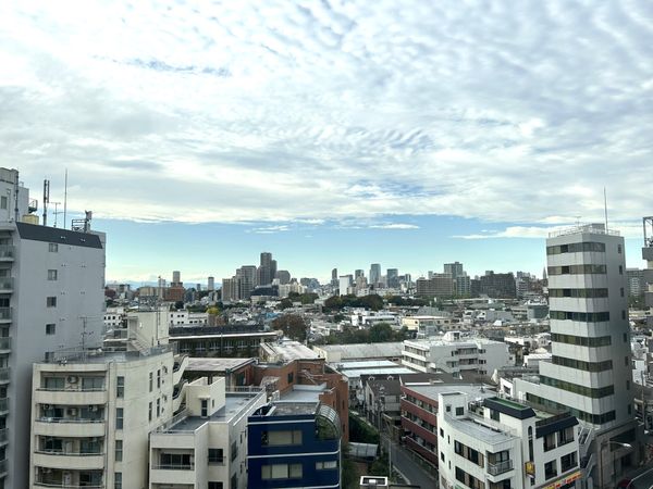 ザ・ヒルトップタワー高輪台 眺望