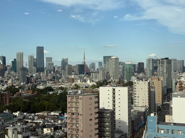 ジオグランデ白金台 眺望 眺望