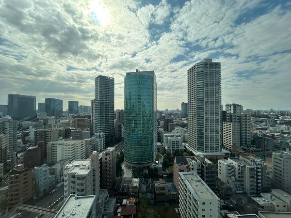 白金ザ・スカイ 東棟 眺望 眺望