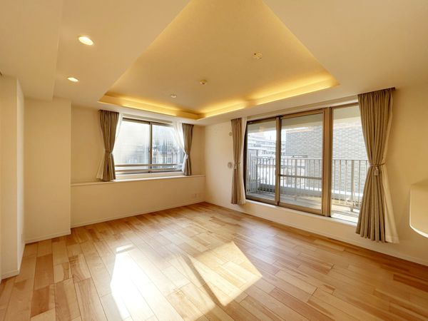 エルラフィナ白金 リビング