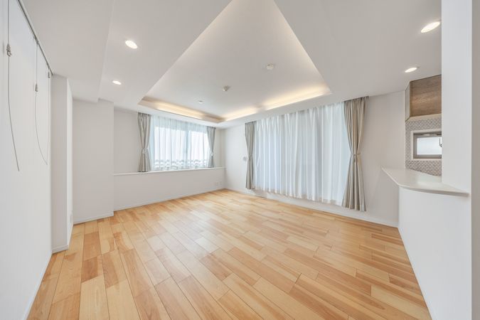 エルラフィナ白金 リビング