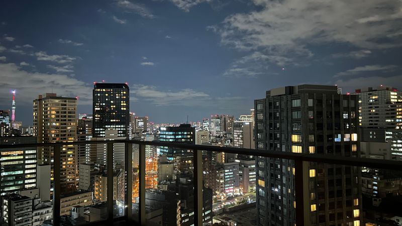 プラウドタワー千代田富士見レジデンス 眺望