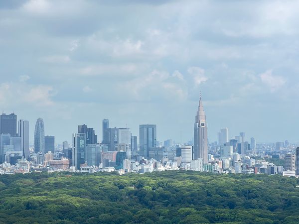 パークコート渋谷ザタワー 眺望