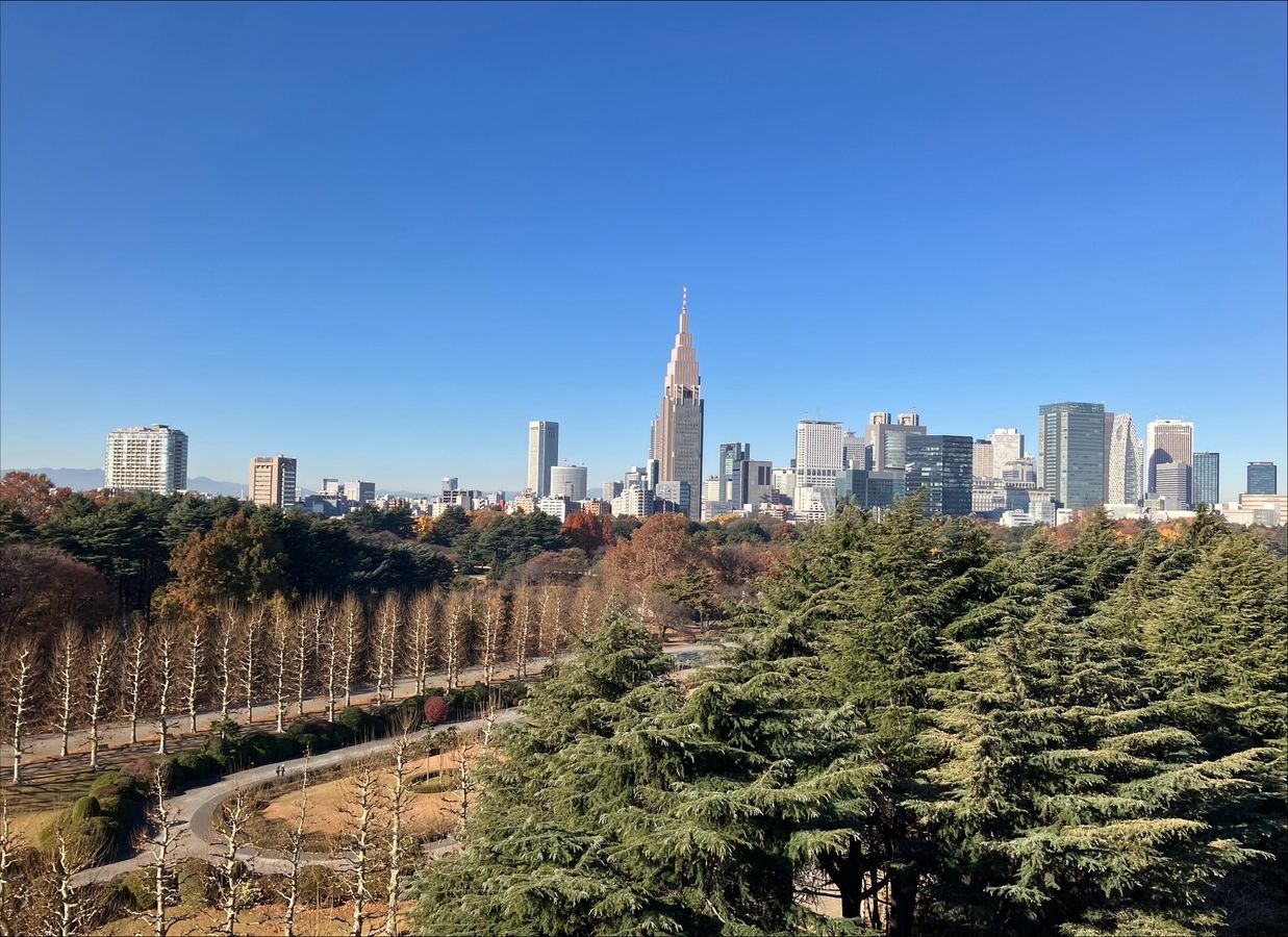 プラウド新宿御苑エンパイア 眺望 眺望