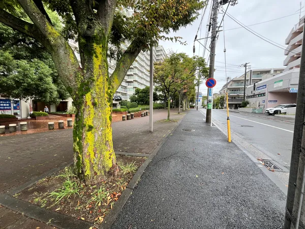 前面道路